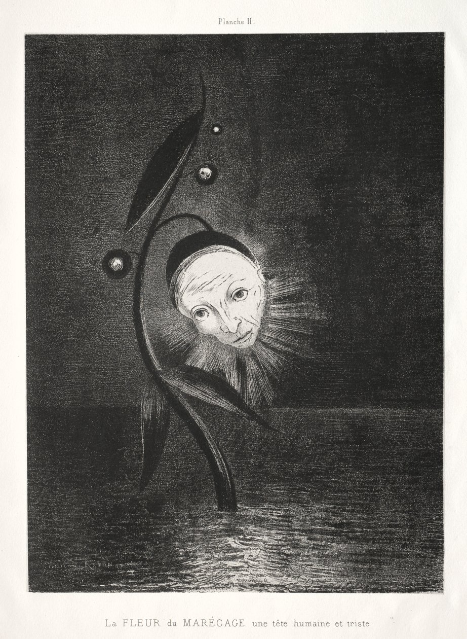 向戈雅致敬：沼泽花，悲伤的人头，1885年。 作者 奥迪隆·雷顿（Odilon Redon）