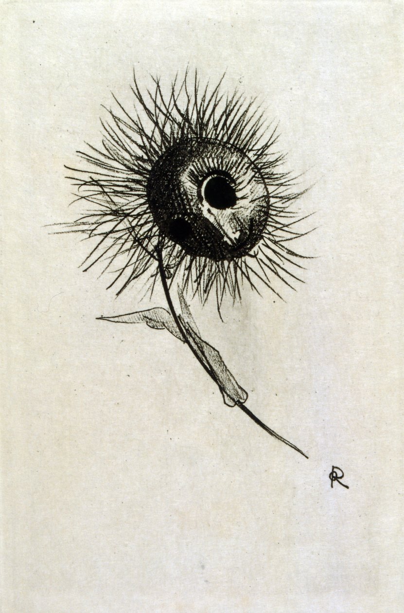 波德莱尔的《Les Fleurs du mal》插图。 1891年（雕刻） 作者 奥迪隆·雷顿（Odilon Redon）