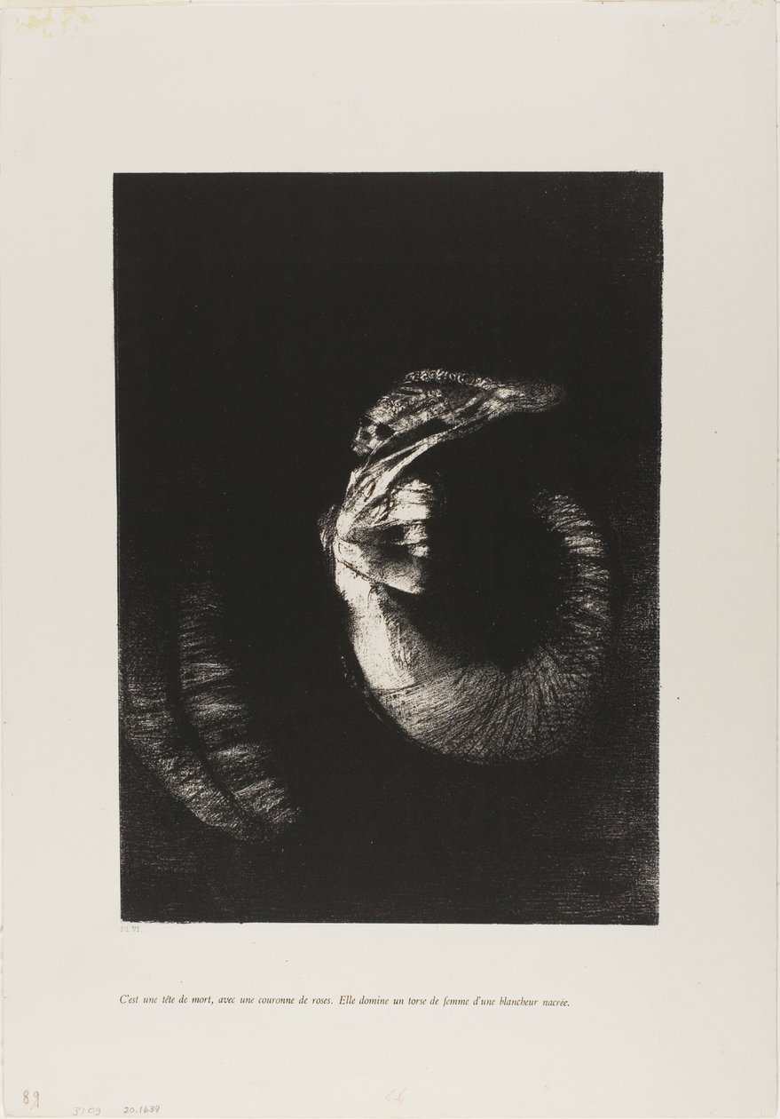 这是一个玫瑰花环的头骨...... 作者 奥迪隆·雷顿（Odilon Redon）