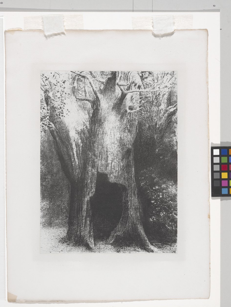 Je Me Suis Enfoncé Dans La Solitude（石版画，印在中国贴花纸上） 作者 奥迪隆·雷顿（Odilon Redon）