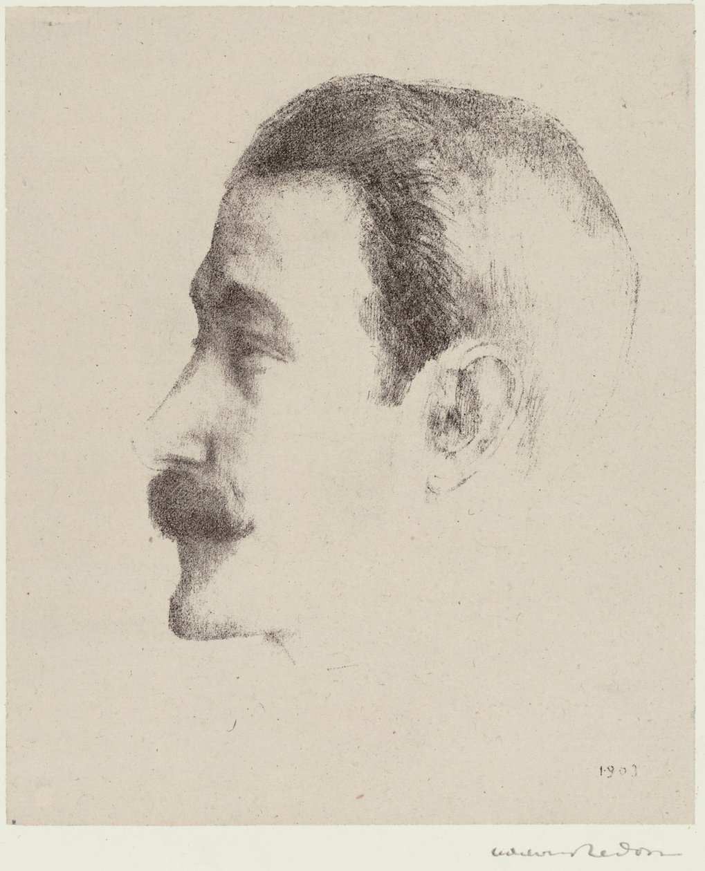 里卡多-比涅斯 作者 奥迪隆·雷顿（Odilon Redon）
