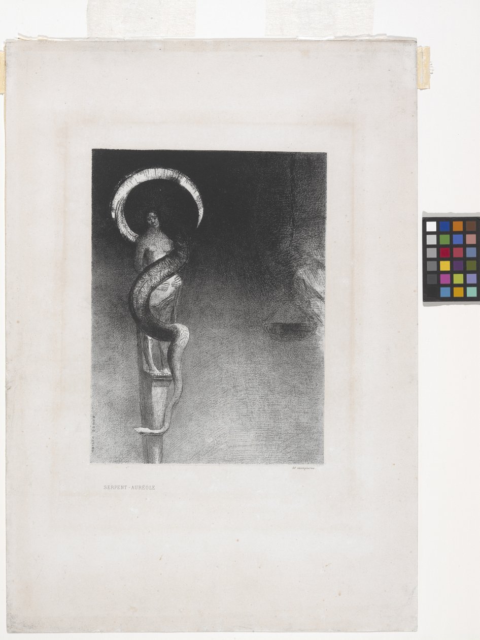 蛇蝎美人》（石版画，贴花纸） 作者 奥迪隆·雷顿（Odilon Redon）