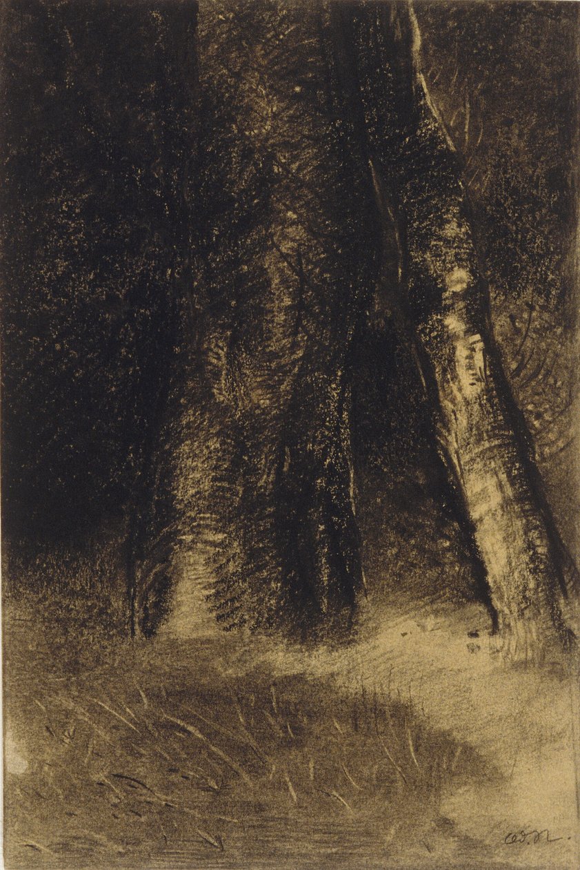 树木素描 作者 奥迪隆·雷顿（Odilon Redon）