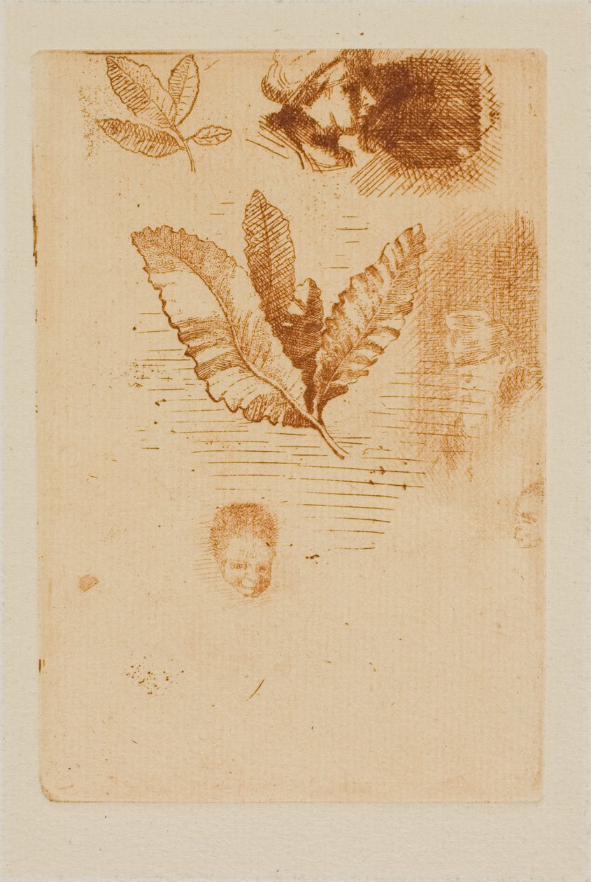 素描 作者 奥迪隆·雷顿（Odilon Redon）