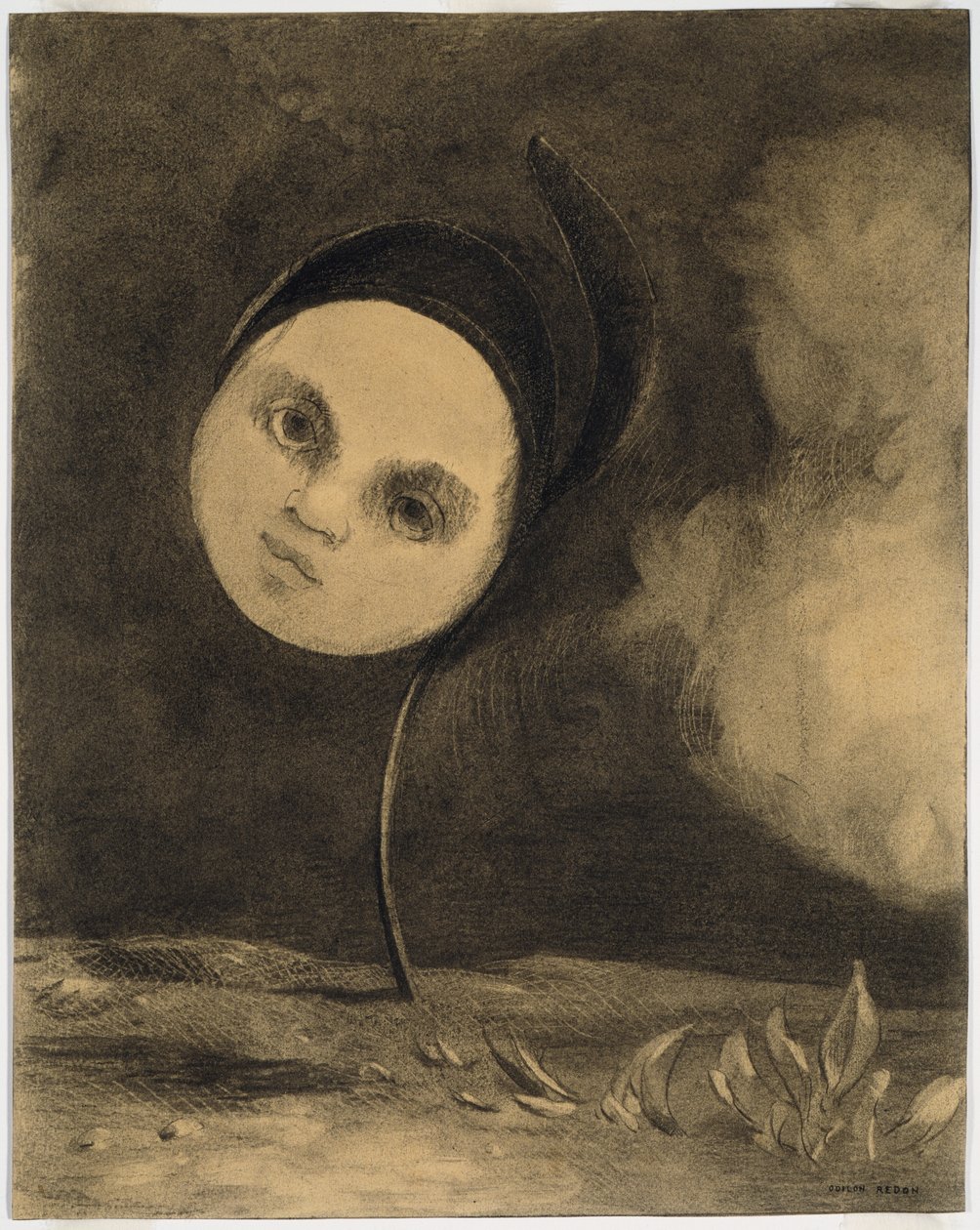 奇怪的花（穷人小妹妹） 作者 奥迪隆·雷顿（Odilon Redon）