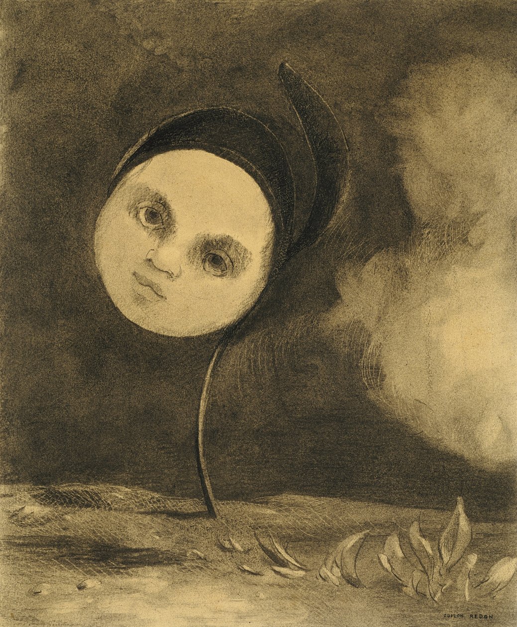 奇花 作者 奥迪隆·雷顿（Odilon Redon）