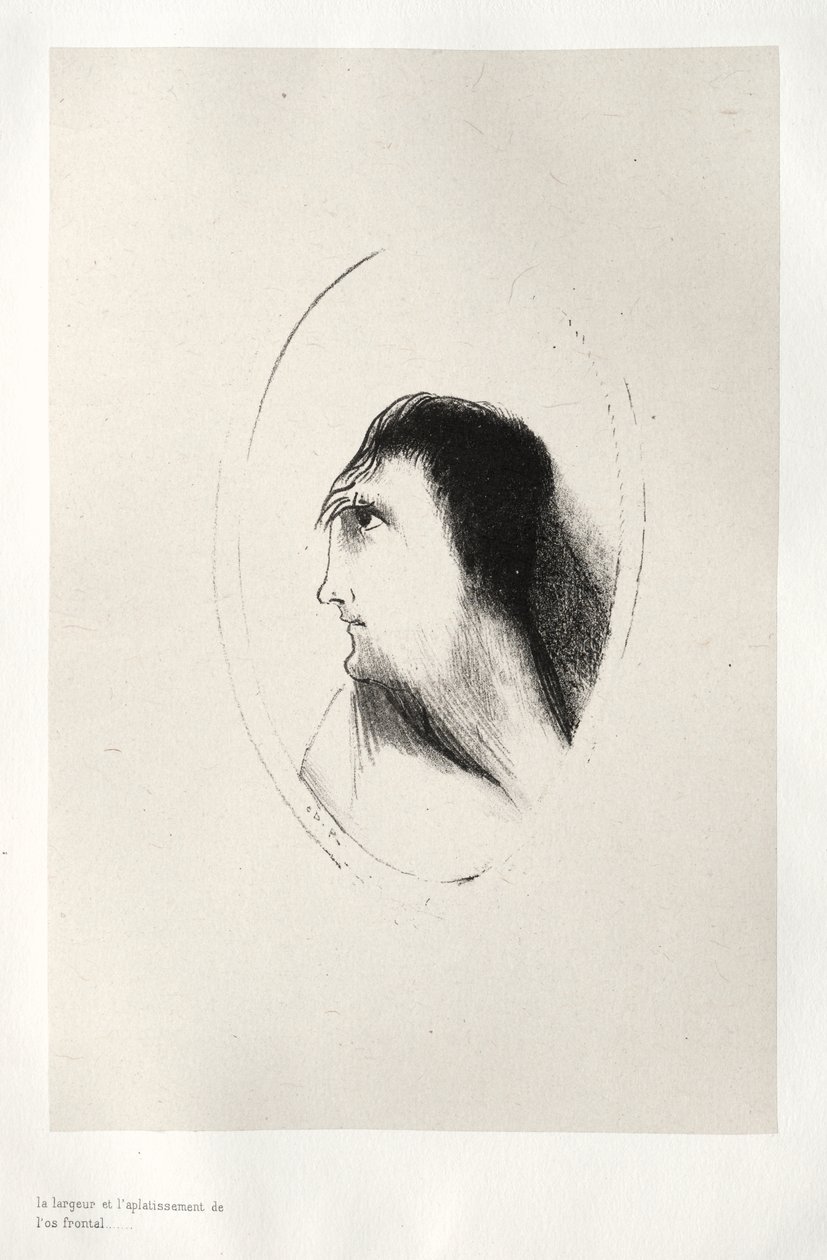 额骨的宽度和平整度 作者 奥迪隆·雷顿（Odilon Redon）