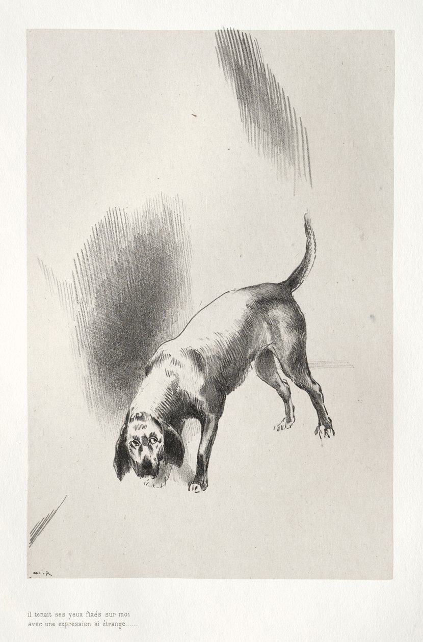 鬼屋：1896年，他的目光如此怪异地盯着我。 作者 奥迪隆·雷顿（Odilon Redon）