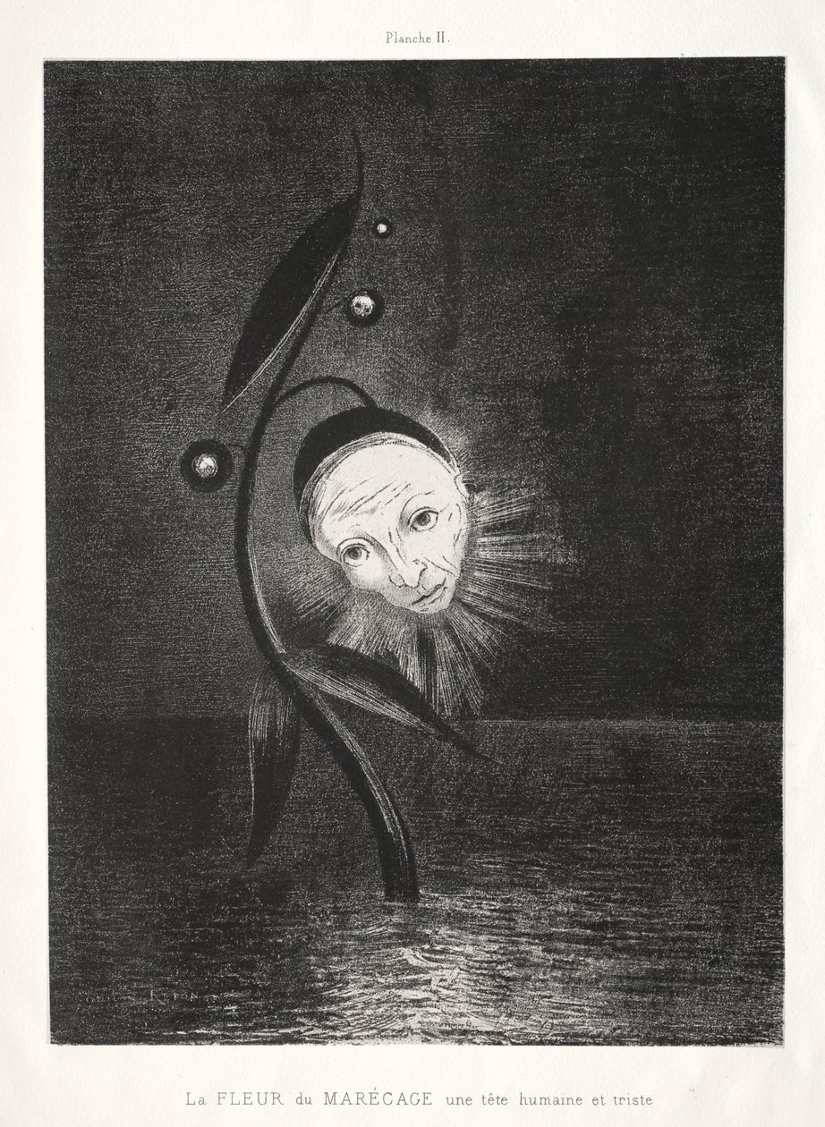 沼泽之花，一个悲伤的人头 作者 奥迪隆·雷顿（Odilon Redon）