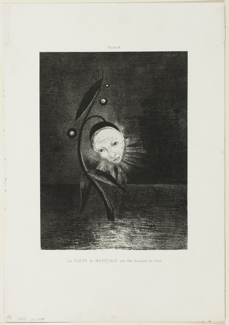沼泽之花》，一个悲伤的人头像，第 2 版，共 6 幅 作者 奥迪隆·雷顿（Odilon Redon）