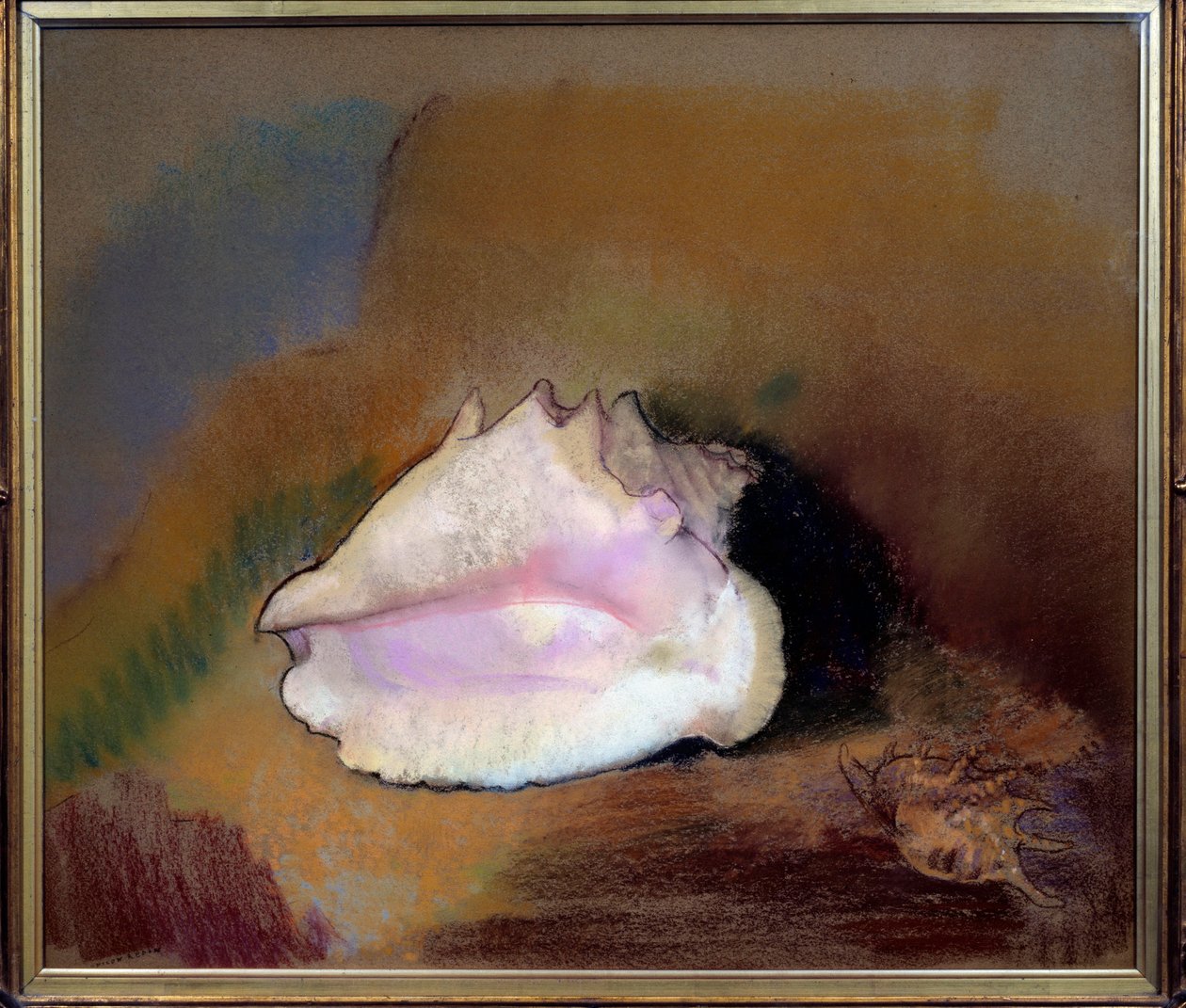 贝壳。 奥迪隆·雷东 (1840-1916) 的粉彩画 作者 奥迪隆·雷顿（Odilon Redon）