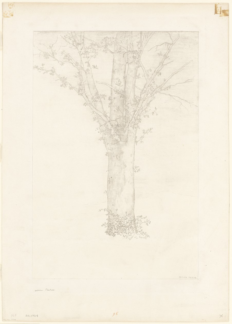 树 作者 奥迪隆·雷顿（Odilon Redon）