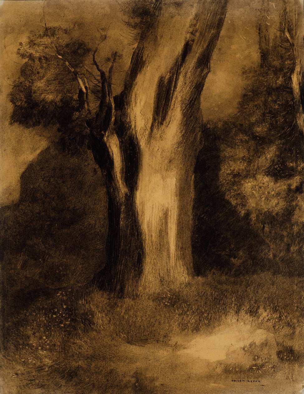 树 作者 奥迪隆·雷顿（Odilon Redon）