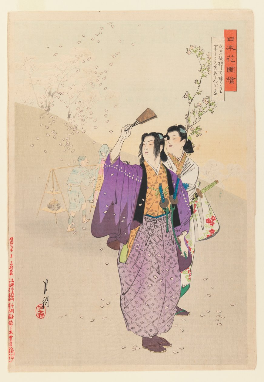 Dandies从1893年的花卉园图片系列中欣赏落樱花（木版彩色印刷） 作者 绪方壁虎