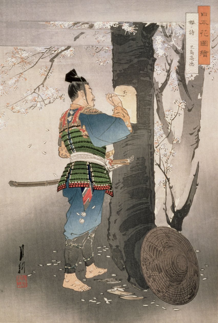 Kojima Takanori在一个樱桃树上写一首诗，来自1895年的“日本花卉图片”系列（木版画） 作者 绪方壁虎