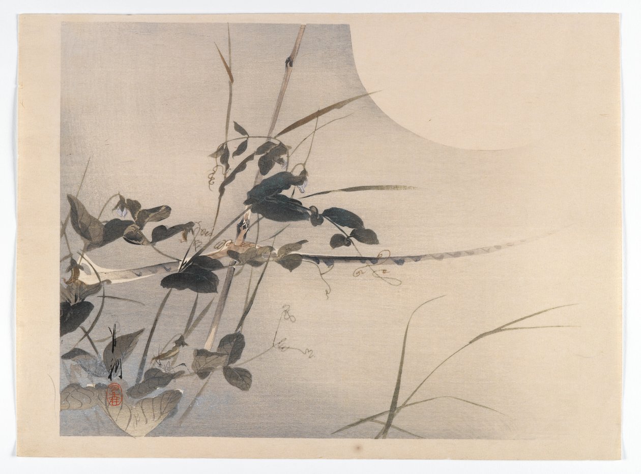 月亮和树叶，鸟与花（Kacho）书的专辑页，1890-1900（银色颜料的木版彩色印刷品） 作者 绪方壁虎