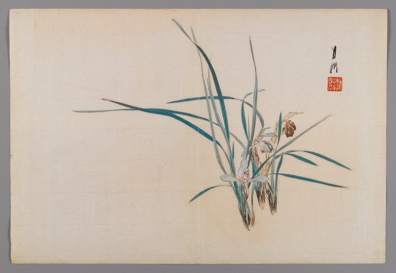 Orchids，鸟与花（Kacho）书的专辑页，1890-1900（带银色颜料的木版彩色印刷品） 作者 绪方壁虎