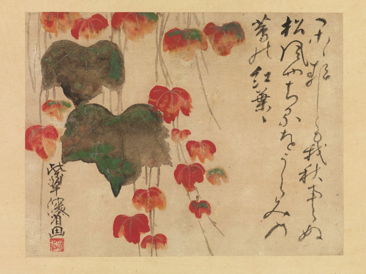 秋天常春藤（墨水，颜色和纸上的金）1732年后 作者 绪方贤三