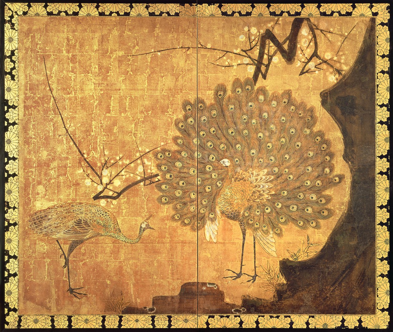 孔雀，江户时代（墨水，颜色和纸上的黄金） 作者 绪方光琳
