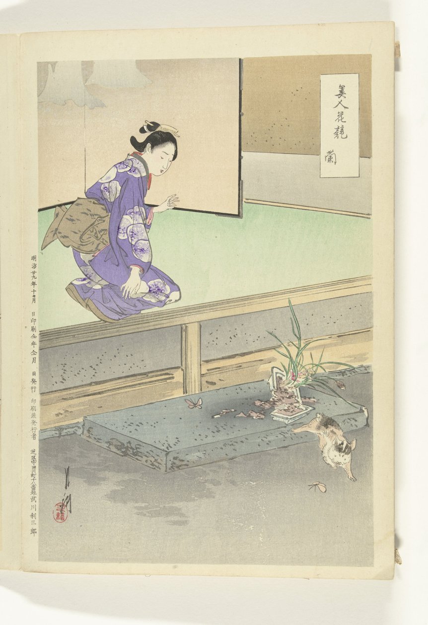 兰花
小兰
美人与花的比较（系列标题）
美人花谱》（物上的系列标题） 作者 绪方壁虎