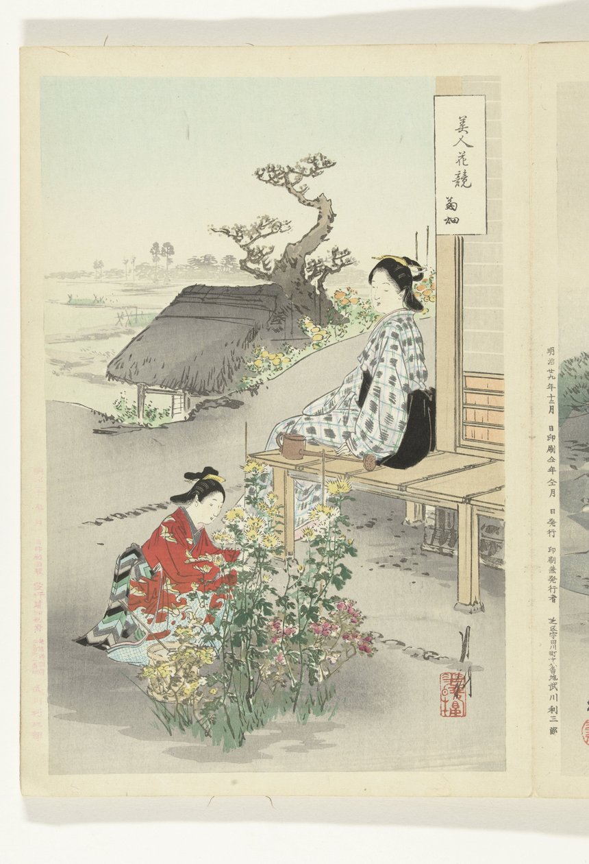 照顾菊花
美人与花的比较（系列标题）
美人与花的比较（系列标题，实物） 作者 绪方壁虎