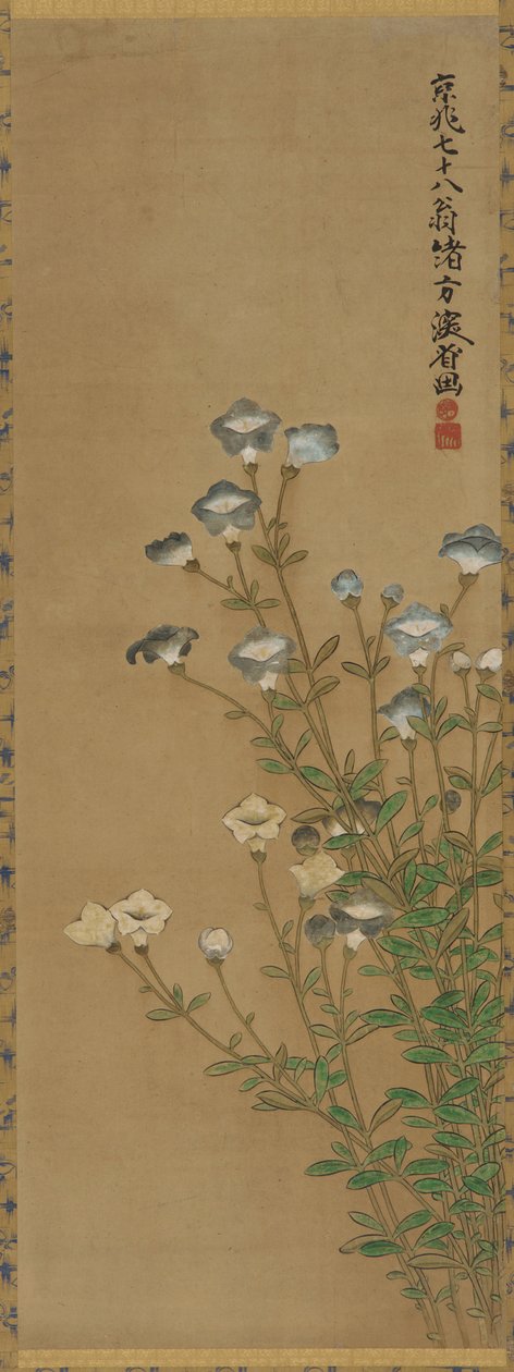 蓝色和白色的花在细长的茎上，江户时期，18-19世纪 作者 绪方贤三