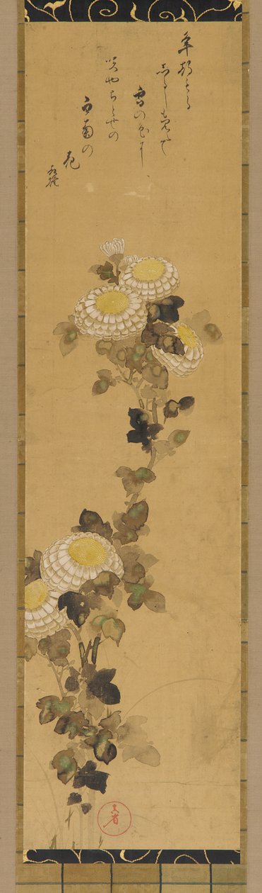 菊花，18-19世纪。 作者 绪方贤三