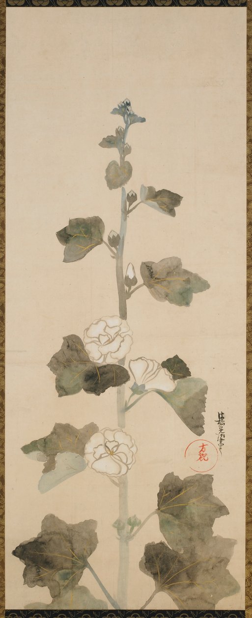 白冬青，江户时期，17世纪末至18世纪初。 作者 绪方光琳