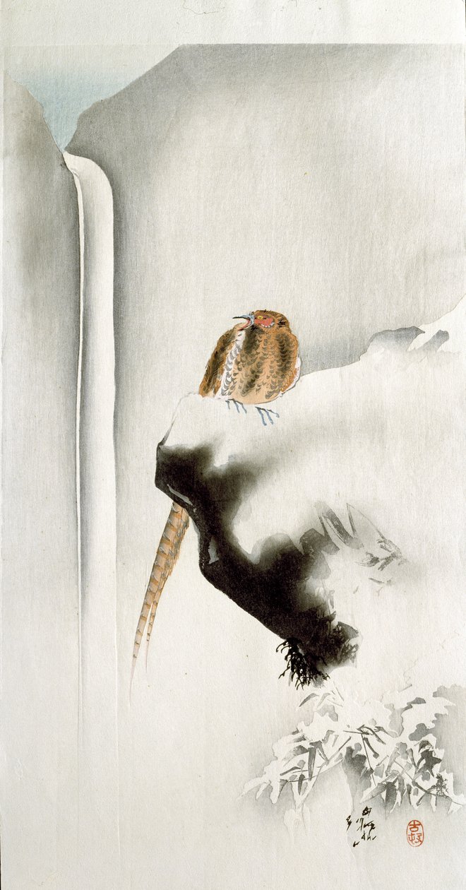 悬崖边上的一只野鸡，背景中有瀑布，1907年（彩色木刻） 作者 大原功臣