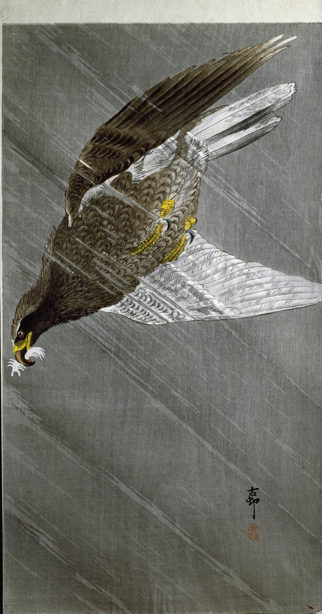 一只老鹰潜入它的猎物，1910年 作者 大原功臣