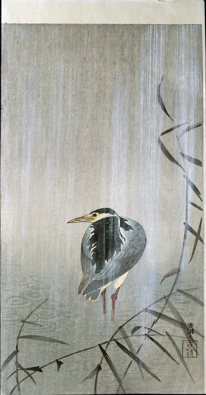 1907年的雨中鸟 作者 大原功臣