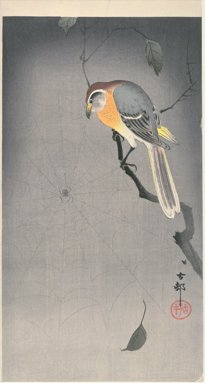 在观看蜘蛛的分支的鸟，c。 1900年初（彩色木版画） 作者 大原功臣