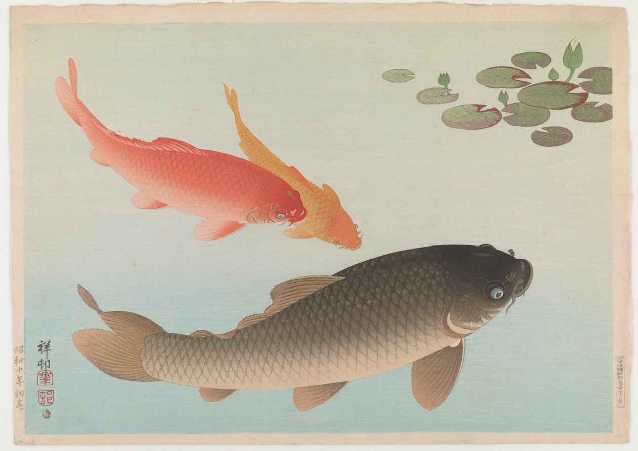 鲤鱼，1935年（彩色木版画） 作者 大原功臣
