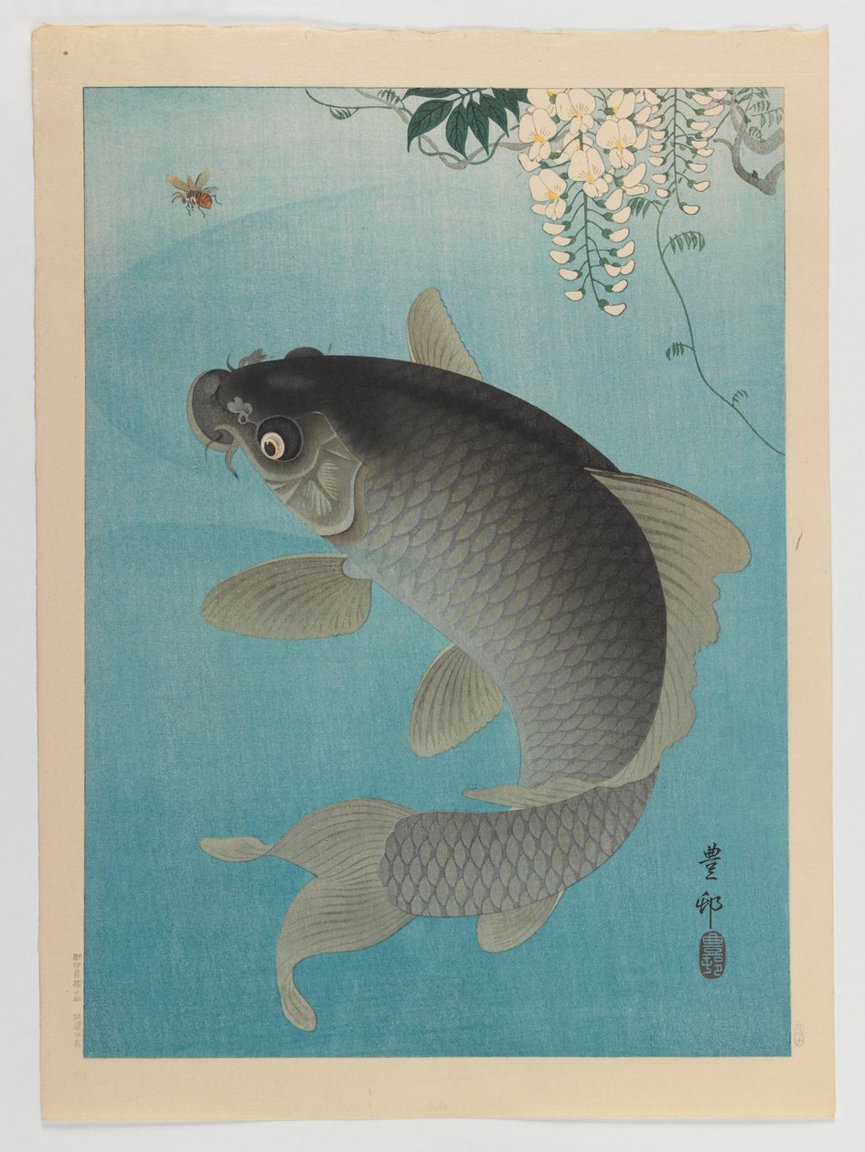 鲤鱼在紫藤下，c.1935（木版彩色印刷） 作者 大原功臣