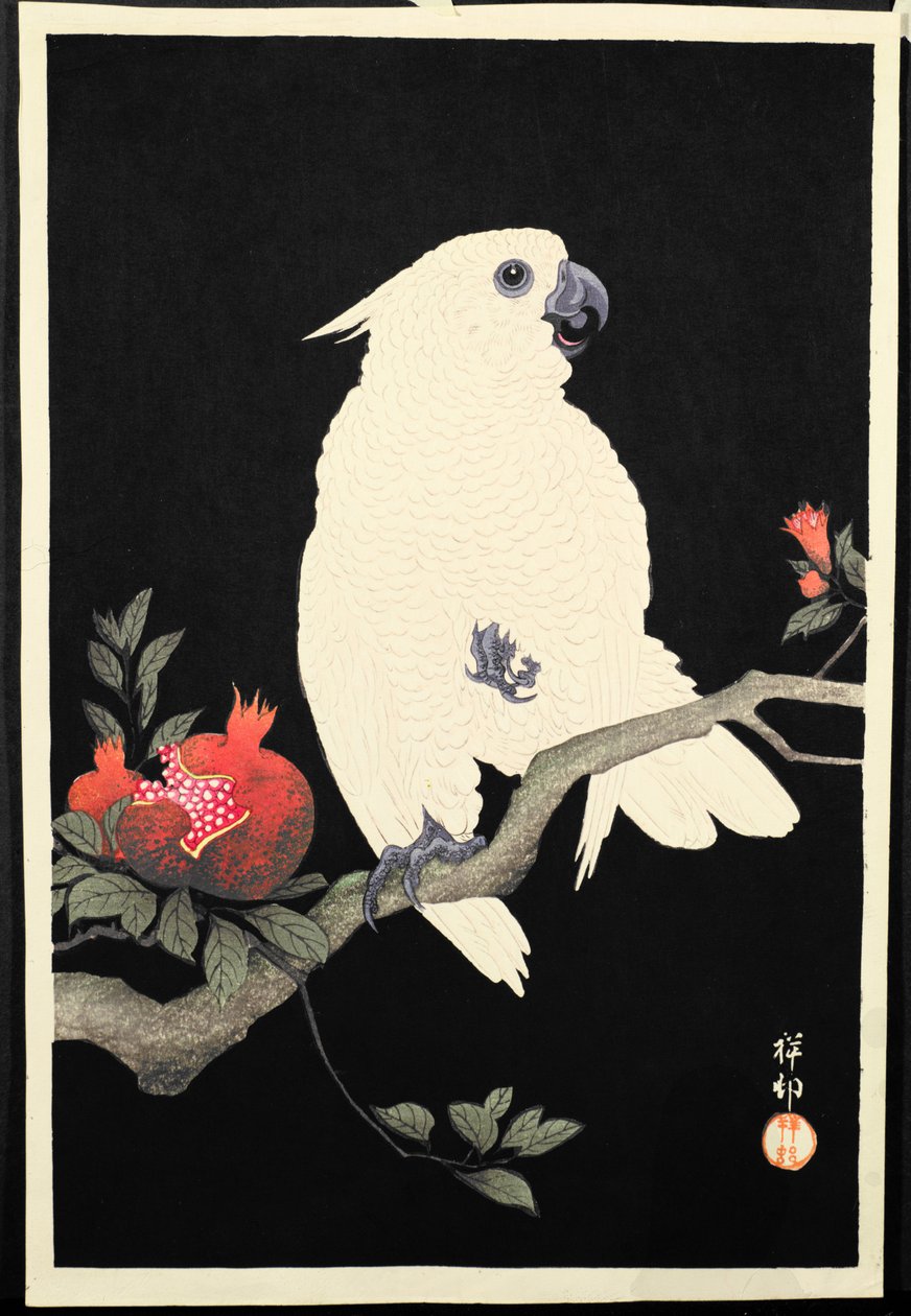 凤头鹦鹉和石榴，（彩色木版画） 作者 大原功臣