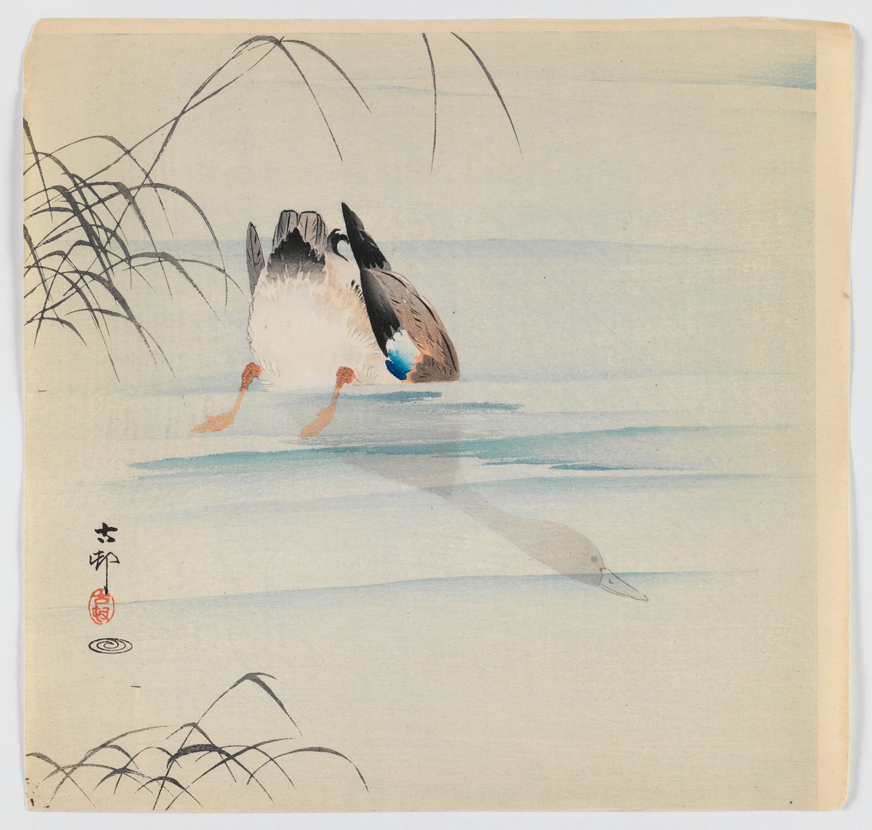潜水野鸭，c.1910（木版彩色印刷） 作者 大原功臣