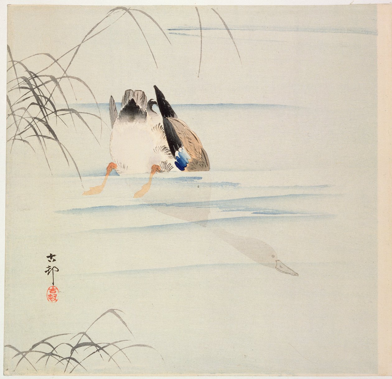 鸭子潜水，c。 20世纪初（彩色木版画） 作者 大原功臣