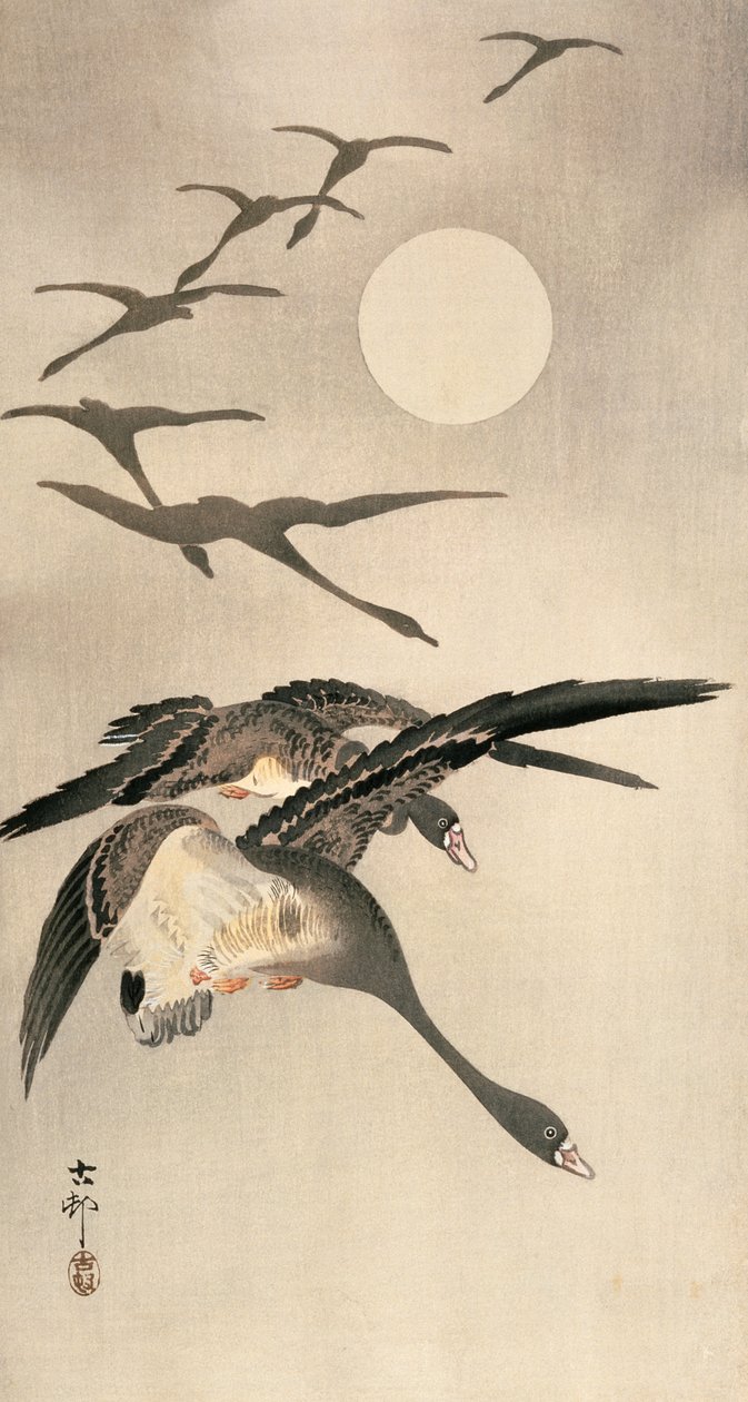 飞鹅和满月，c。 20世纪初（彩色木版画） 作者 大原功臣
