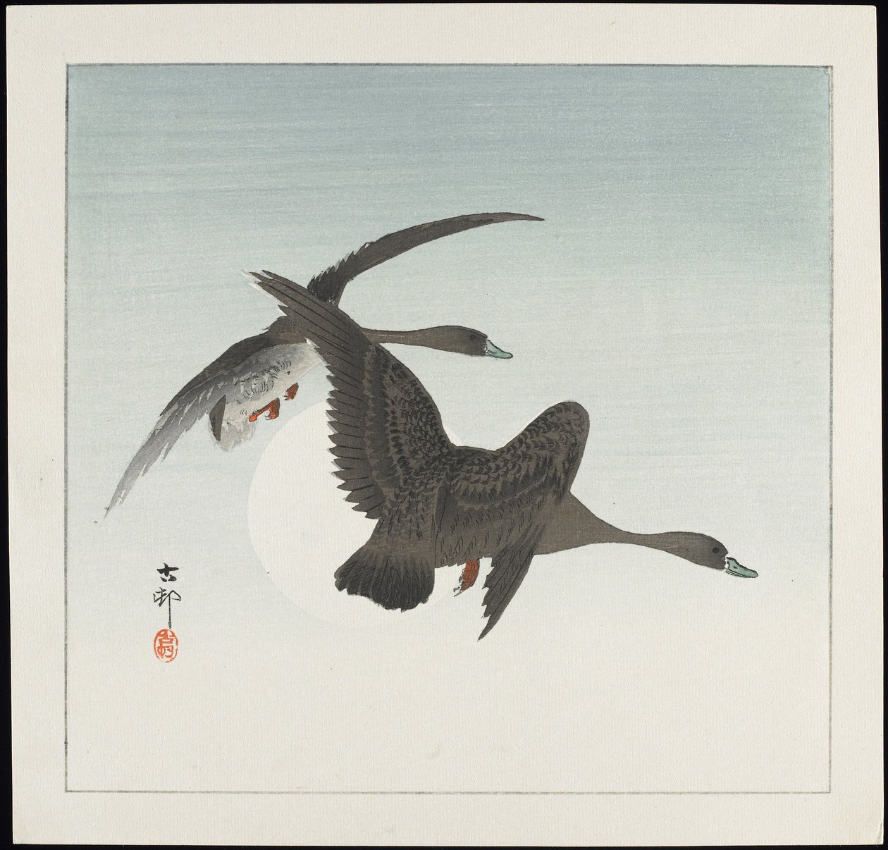 飞行中的鹅，1912年以前 作者 大原功臣