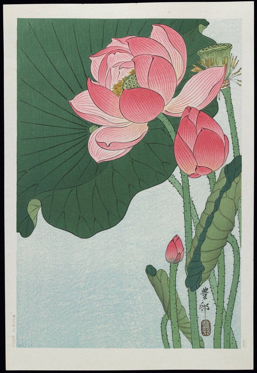 莲花，20世纪30年代 作者 大原功臣