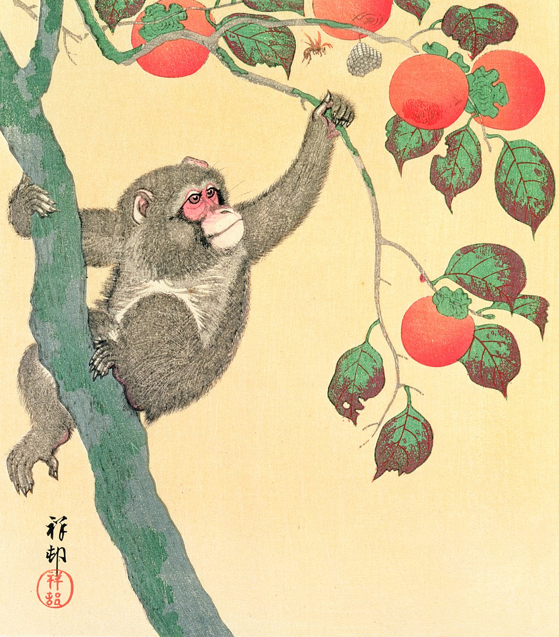 猴子在柿子树，1935年（木版彩色印刷） 作者 大原功臣