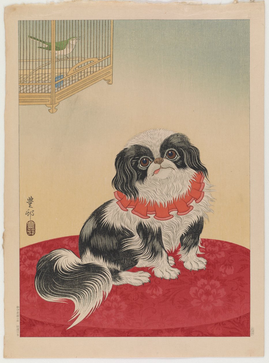 Pekingese狗，c.1930（彩色木版画） 作者 大原功臣