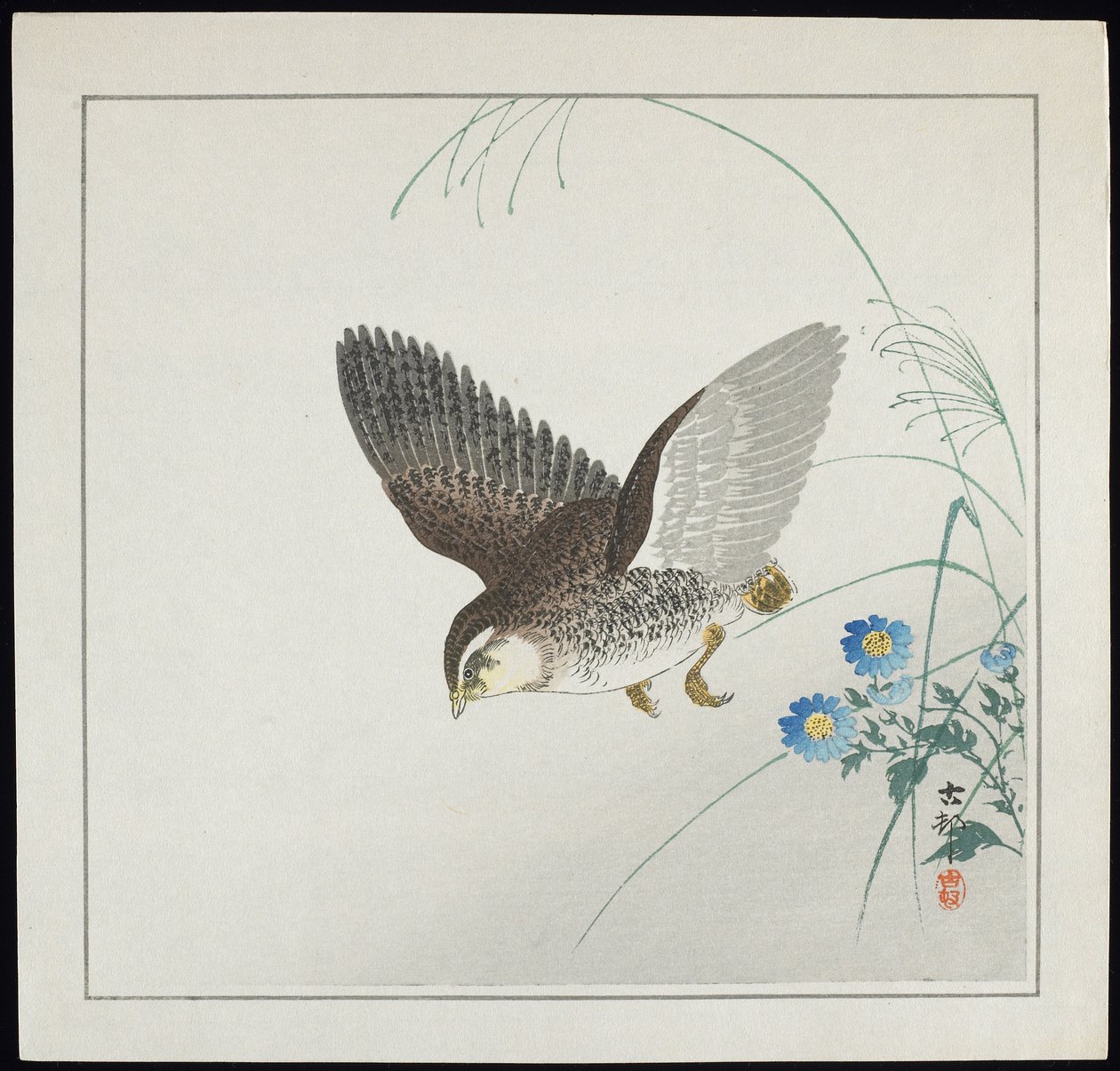 鹌鹑在飞行中，1912年之前 作者 大原功臣