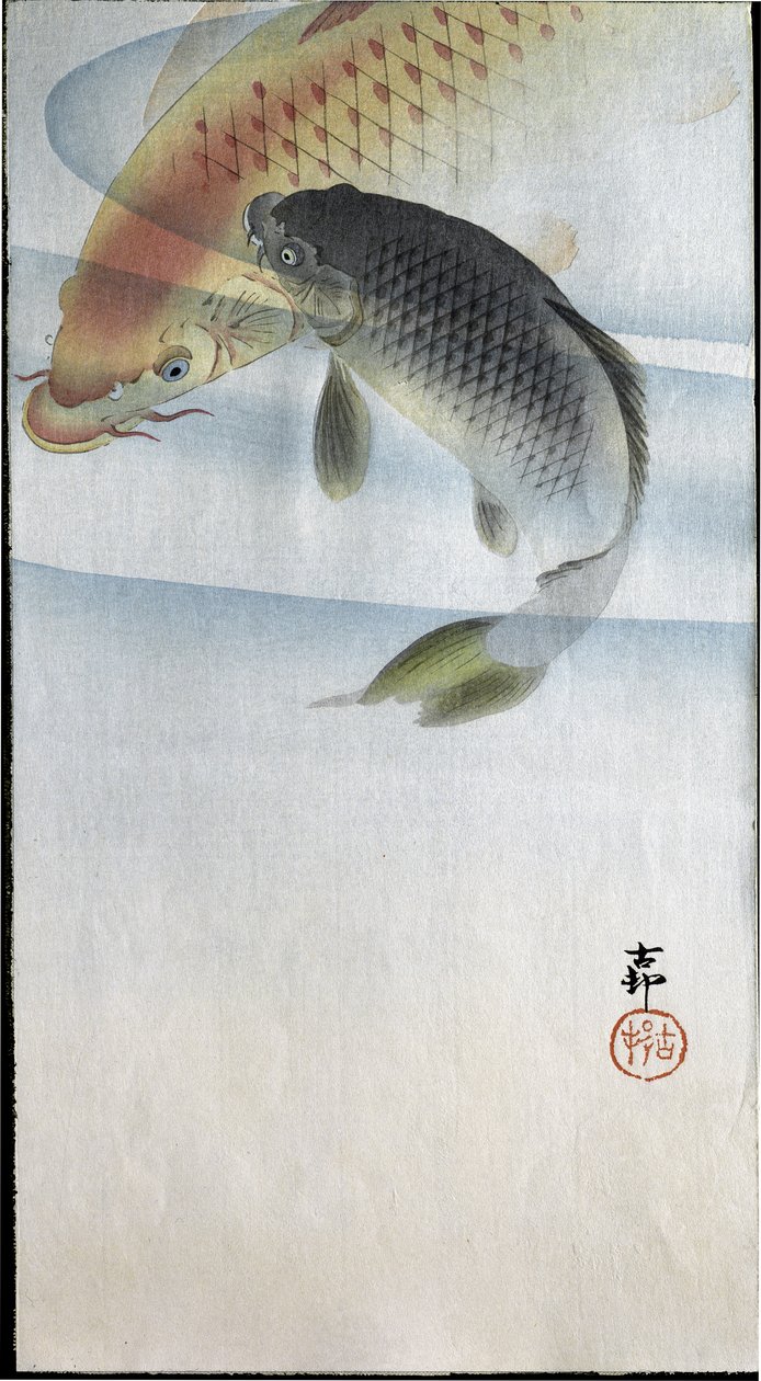 1907年在河中的两条鲤鱼 作者 大原功臣
