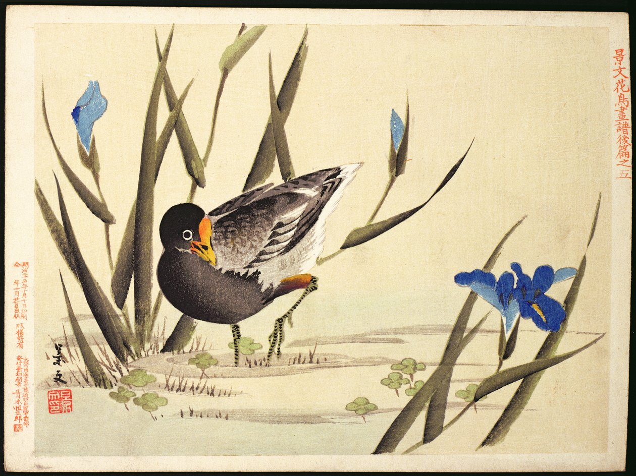 匆忙中的Wader，（彩色木版画） 作者 大原功臣