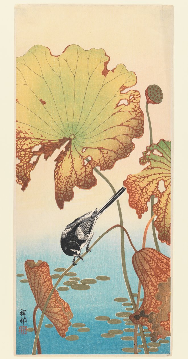 W and和莲花，c.1915（木版画） 作者 大原功臣