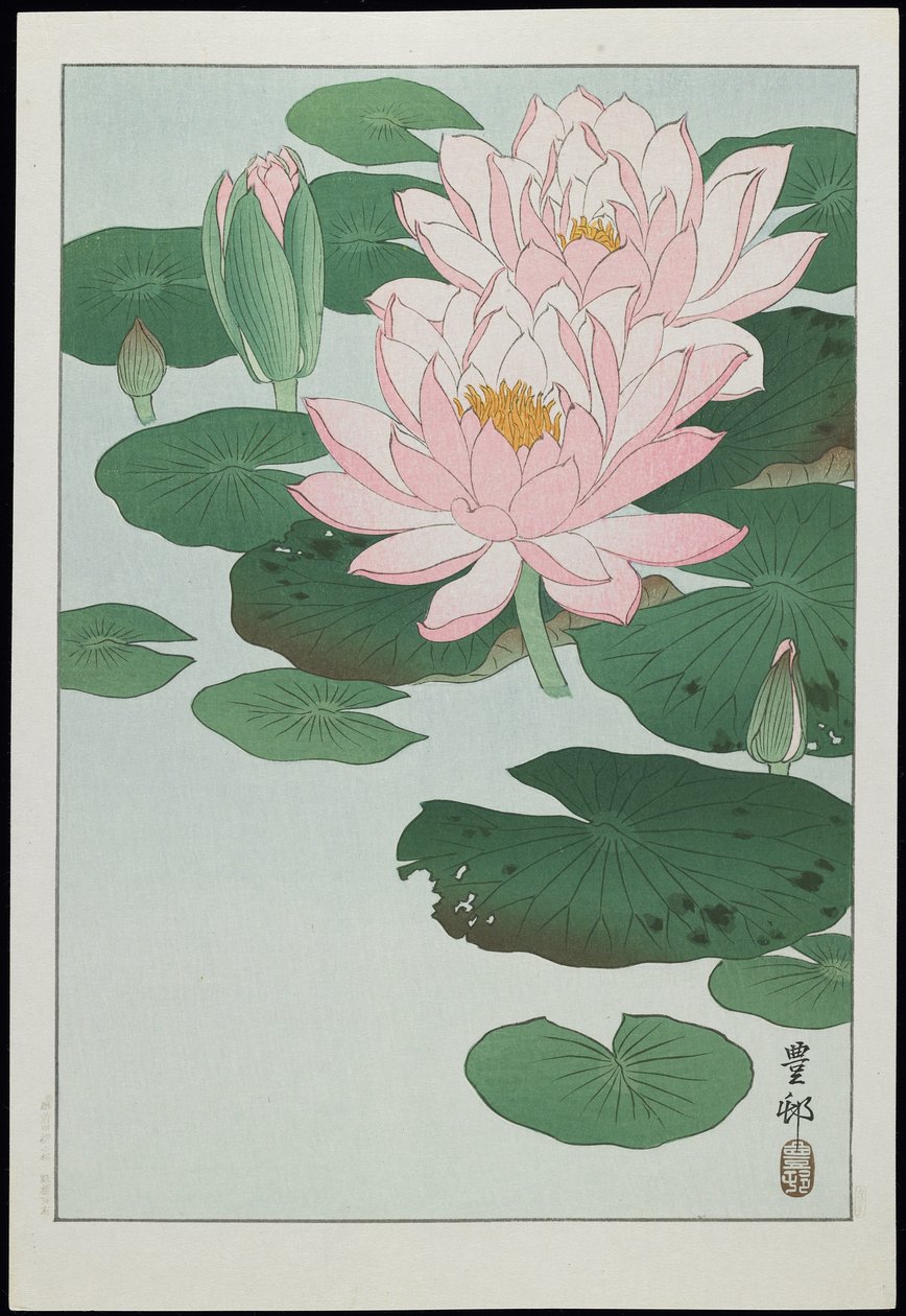 睡莲，20世纪30年代 作者 大原功臣