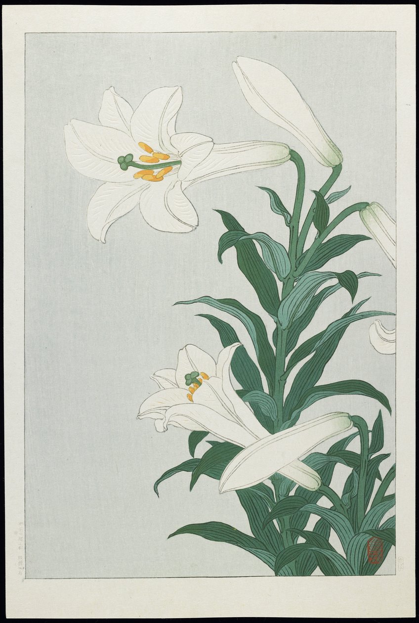 白百合，20世纪30年代（彩色木版画） 作者 大原功臣
