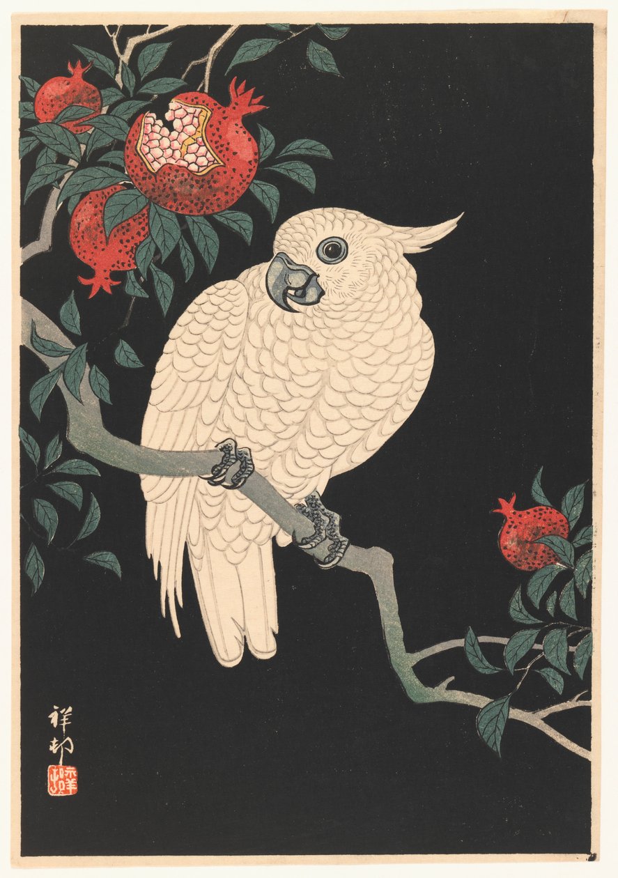 白鹦鹉和石榴，1927-1989（木版画） 作者 大原功臣