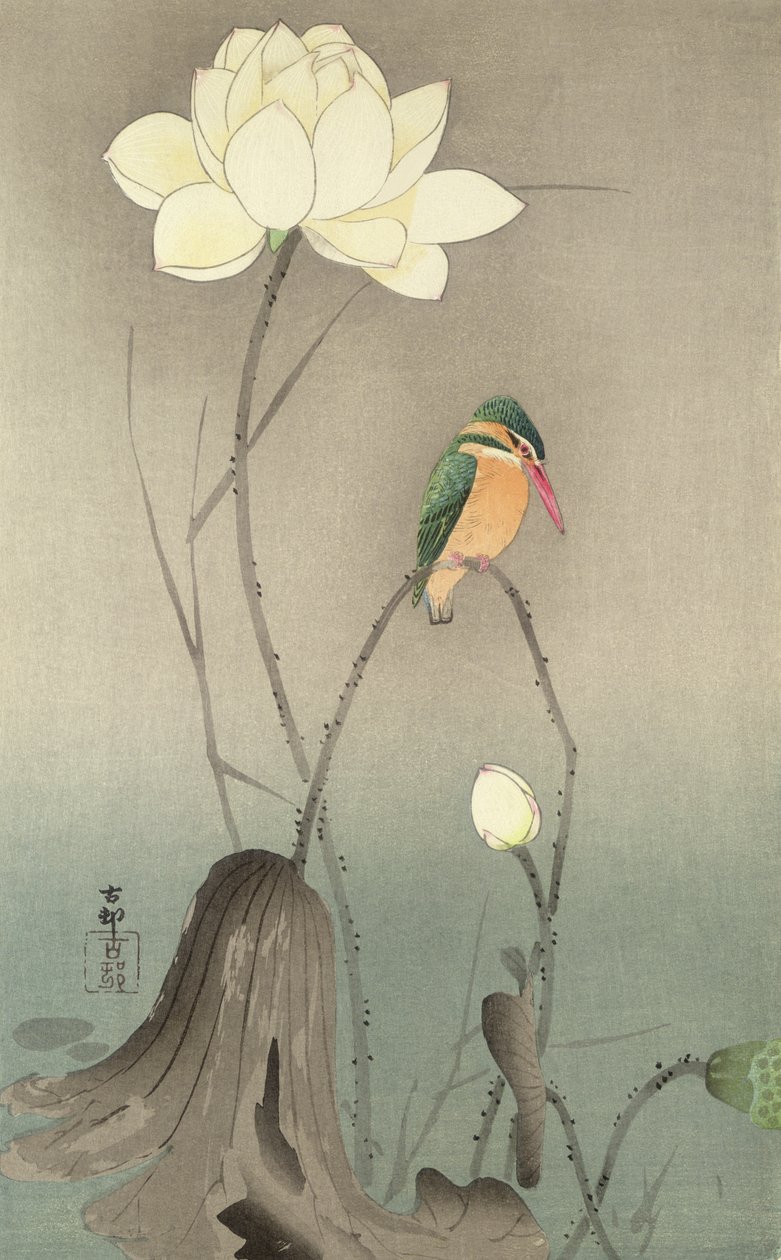 翠鸟和莲花，c.1910， 作者 大原功臣
